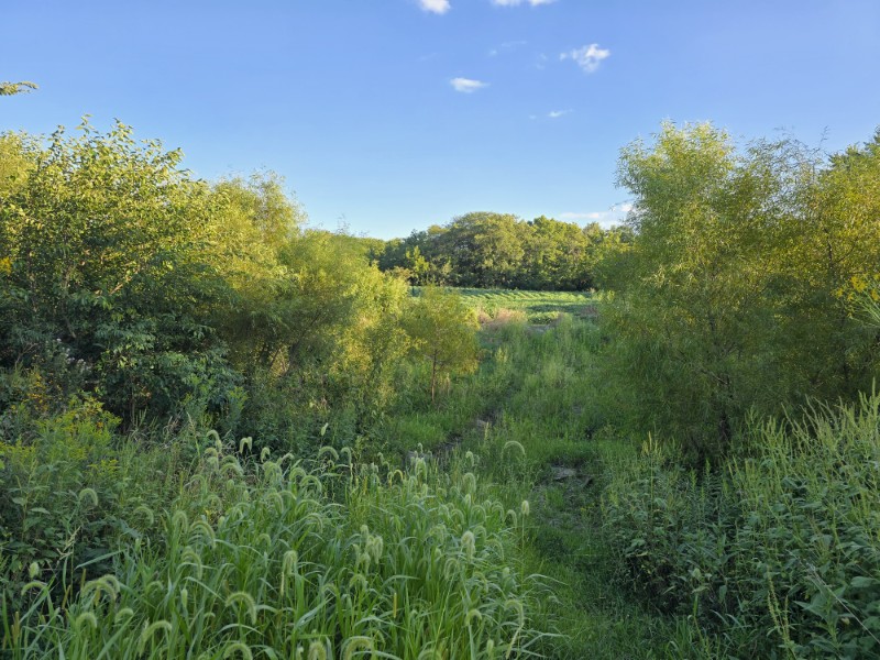 Listing photo 36